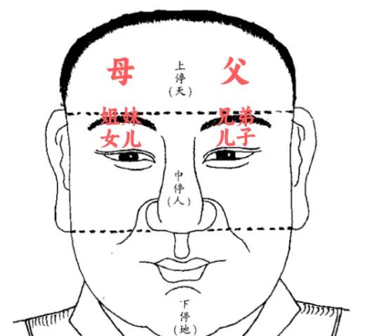 哪些面相特征预示着多子多孙的命运