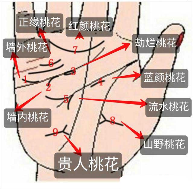 正缘桃花的手相特点揭秘